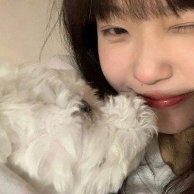 小小蛋传奇手游下载